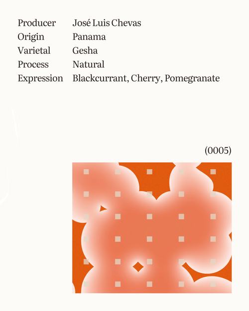 Chevas Estate Gesha Natural Choclo #6802