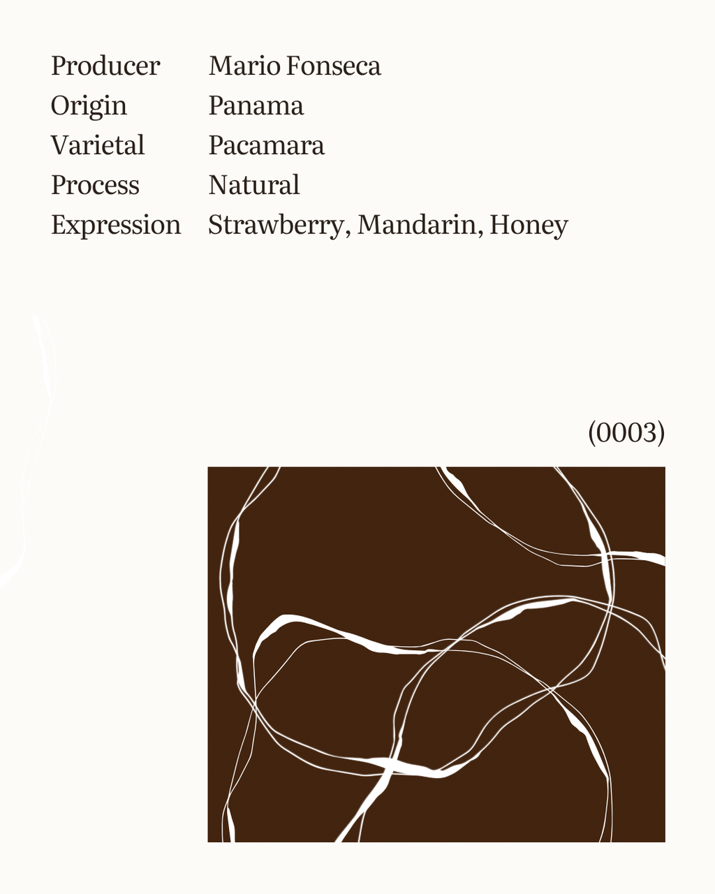 Mil Cumbres Pacamara Natural